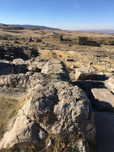 Load image into Gallery viewer, Magical Lion Statue, Anatolian Art Hand Carved Lion figurine